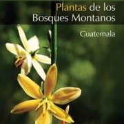Plants of the Montane Forests