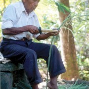 Splitting maguey leaves with bone tool after soaking in water for 2-3 weeks, then pounding to remove outer leaves