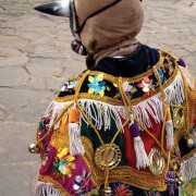 A torito waits his turn to join the dance