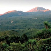 Coffee finca —Consejo Salvadoreño de Café