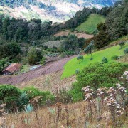 Cuchumatanes Adventure by Linda Green Roesch