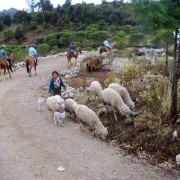 Cuchumatanes Adventure by Linda Green Roesch