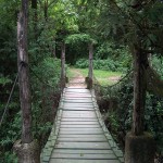 Parque Ecológico Jacarandas de Cayalá (Guatemala City) —Luis Fernando Muñoz