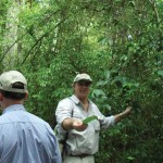 Dr. Hansen points out an Allspice tree