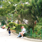 During the renovation of the park in 2000 the gardens were improved, smaller benches replaced the old cement ones, and wrought-iron fences were put around the planted areas. (photo by Rudy Girón)