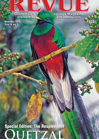 The Resplendent Quetzal (photo by Thor Janson)