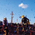 Feria finquera (Guatemala City) —Elisa Pineda