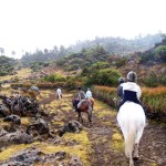 Cuchumatanes Adventure by Linda Green Roesch