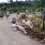 Cuchumatanes Adventure by Linda Green Roesch