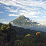 Birdwatching and hiking at El Pilar, Antigua’s little-known nature reserve