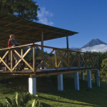 Observation decks allow visitors to view the varied wildlife of El Pilar.