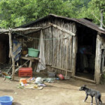 From Houses to Homes replaces cornstalk shacks with concrete and metal houses.