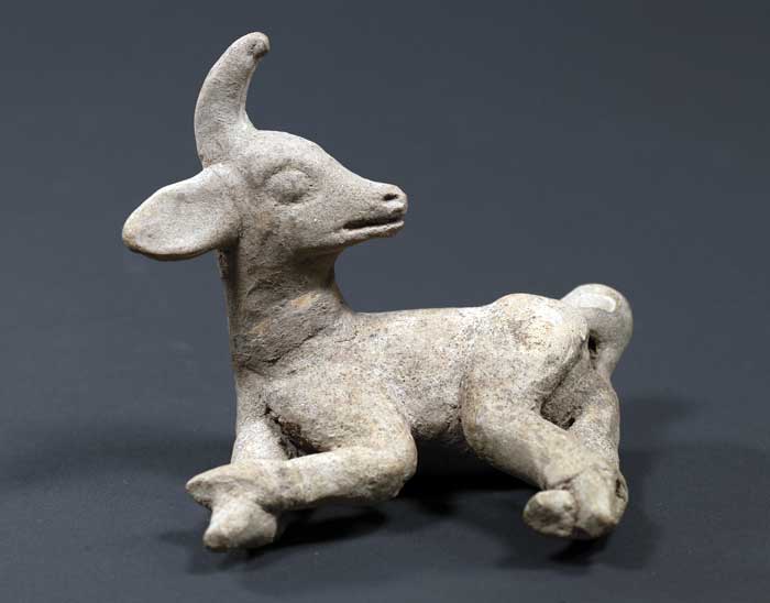 The Ancient Maya And The White-tailed Deer – Revue Magazine