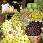 Tropical fruits (photo by Rudy Girón)