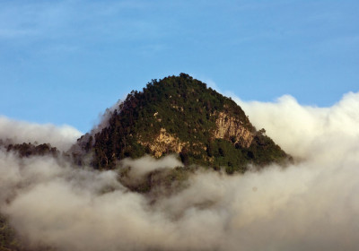 A photographic quest to the upper cloud forest on Atitlán Volcano’s southern flank in search of the rare and elusive