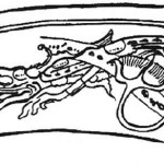 Crocodile-like depictions appear in Mayan myth and artifacts.