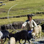 Here it is too high and cold for the cultivation of corn or even wheat, so the local population, nearly all of whom are of the Mam-Maya tribe, eke out a living pasturing sheep.