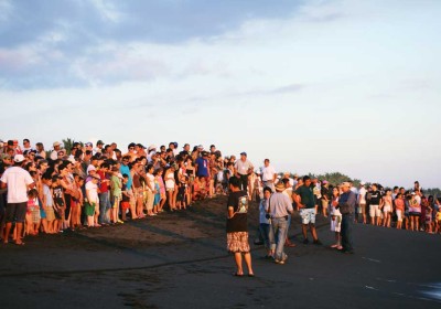 Sea turtle fans on the beach at Monterrico