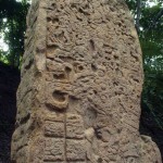 Stela in the Yaxhá archaeological site. (photo by Thor Janson)