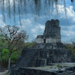 The Many Faces of Tikal by Byron Ortiz