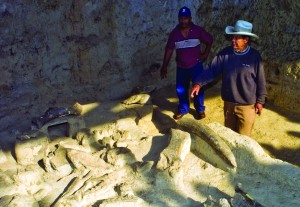 Octavio Alvarado (rt.) has become the enthusiastic caretaker of the  Chivacabé Mammoth site, near Huehuetenango, which now has a small museum.