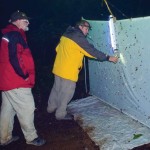 Entomologists studying the diversity of the tropical forest shine bright lights and wait for the bugs.