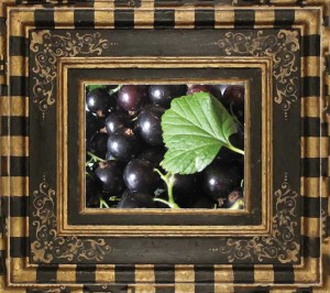 Blackcurrants (zoë @ flickr)