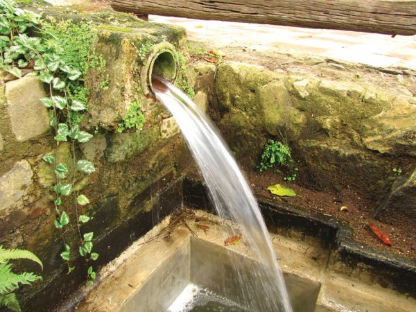 Vibrant running water (photo: Rudy Girón)