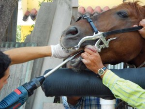 Dental work