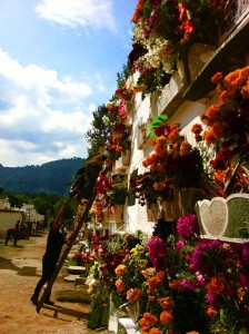 Posición/Position: Mención honorífica / Honorable mention Tema/theme: Cápsula del tiempo / Time capsule Título/title: Y así se decoraban las tumbas el 1 de noviembre Lugar/place: La Antigua Guatemala Autor/author: Erick Pimentel Mejicanos Posición/Position: Mención honorífica / Honorable mention Tema/theme: Cápsula del tiempo / Time capsule Título/title: Y así se decoraban las tumbas el 1 de noviembre Lugar/place: La Antigua Guatemala Autor/author: Erick Pimentel Mejicanos
