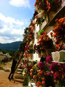 Posición/Position: Mención honorífica / Honorable mention Tema/theme: Cápsula del tiempo / Time capsule Título/title: Y así se decoraban las tumbas el 1 de noviembre   Lugar/place: La Antigua Guatemala Autor/author: Erick Pimentel Mejicanos