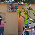 All Saints Day in Guatemala, A Photographic Essay by Geovin Morales