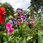 All Saints Day in Guatemala, A Photographic Essay by Nelo Mijangos