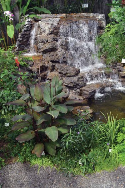 Streams are just part of the beauty of Blue Harbor Tropical Arboretum