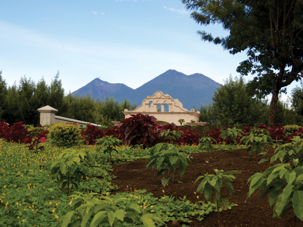 Coffee and Volcanoes (photo by <a href="http://photos.rudygiron.com" title="Visit for additional photos of volcanoes" target="_blank">Rudy Giron + photos.rudygiron.com</a>)