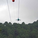 Canopy photo