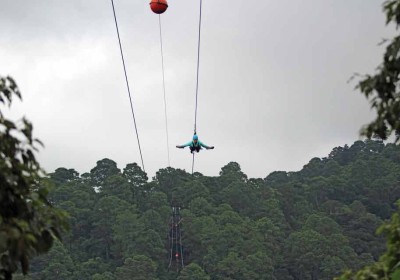 Canopy photo