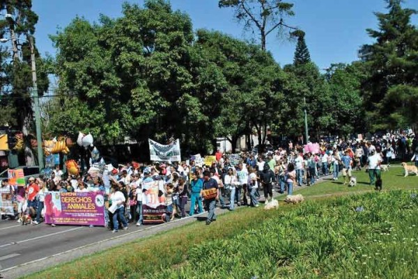 Participants in January’s public demonstration for animal rights