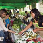 Visitors browse the booths of organic vegetables, herbs, coffee, sugar, chocolate, cheese and jams