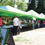 The Organic Market will be held on the third Sunday of each month between 11 and 13 calle of zone 13 on Avenida Las Américas, Guatemala City