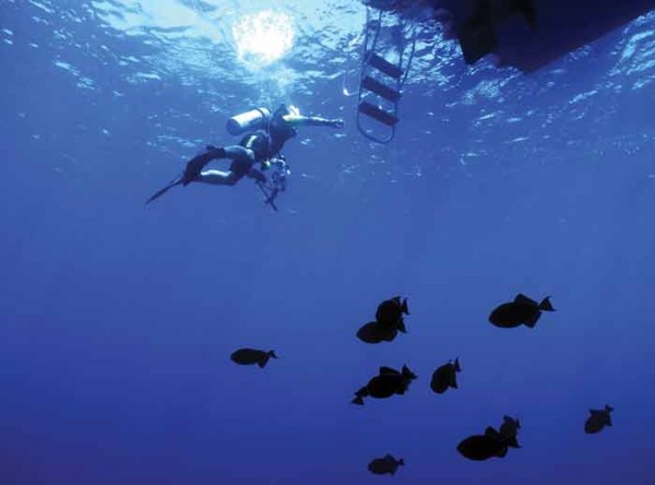 Undersea exploration
