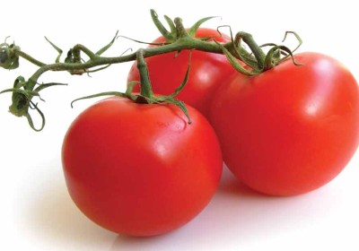 Organic tomatoes