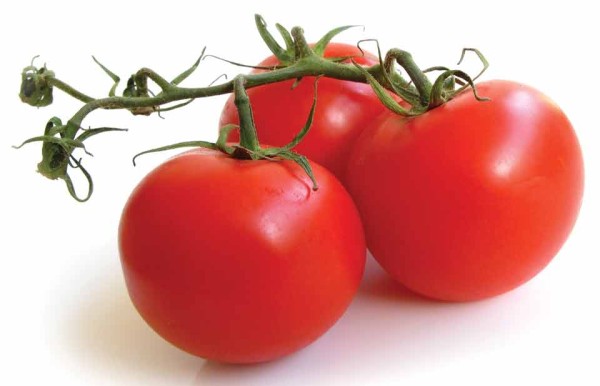 Organic tomatoes