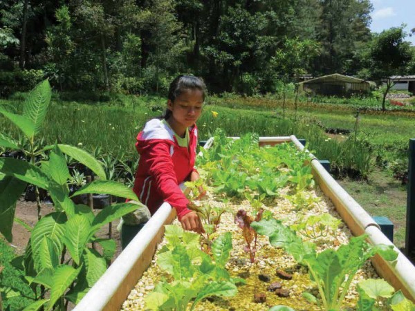 Girl helping the environment