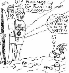 Comics of The Zen of Plant(e)ar