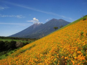 Posición/Position: 2do lugar / 2nd place Premio/Prize: Porta lapiceros de Jades Xibalbá Tema/theme: Volcanes de Guatemala / Volcanoes in Guatemala Título/title: La alegría de Vivir Lugar/place: Ciudad Vieja, Sacatepéquez Autor/author: Lusvin González Z. Web: flickr.com/lusvingonzalez