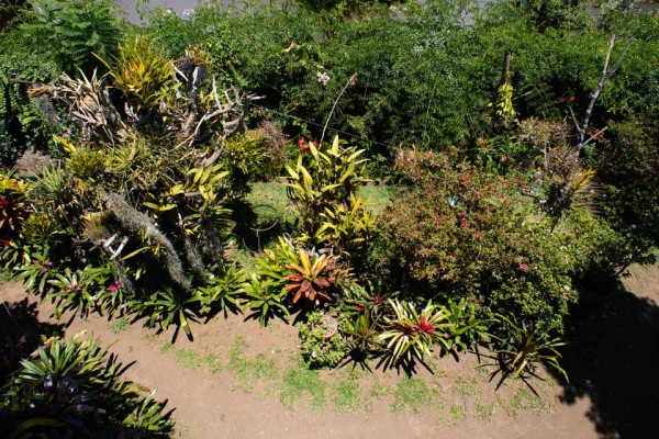 Asociación de Orquideología La Antigua Guatemala