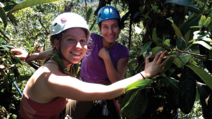 In the Canopy