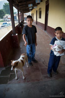 antigua guatemala street dogs