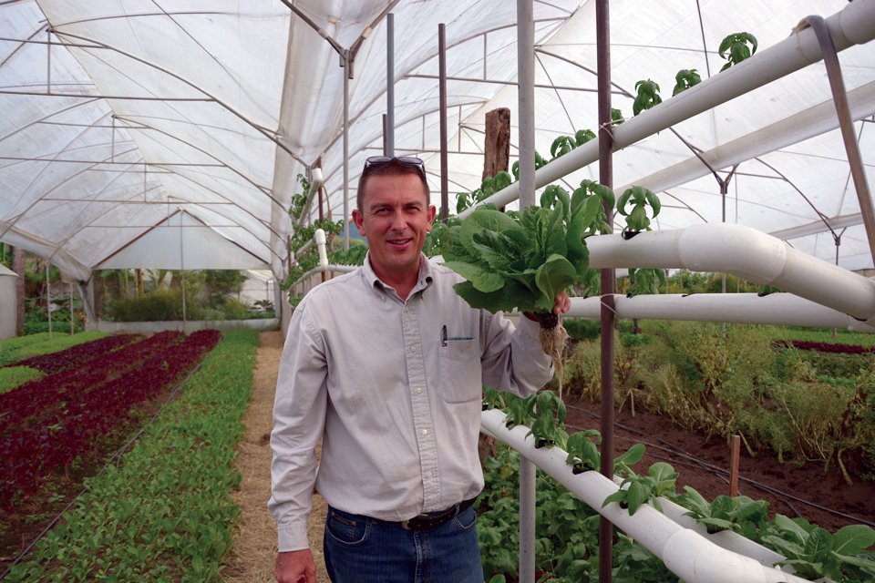Hydroponic systems expert Guy Christopher inspects some crops